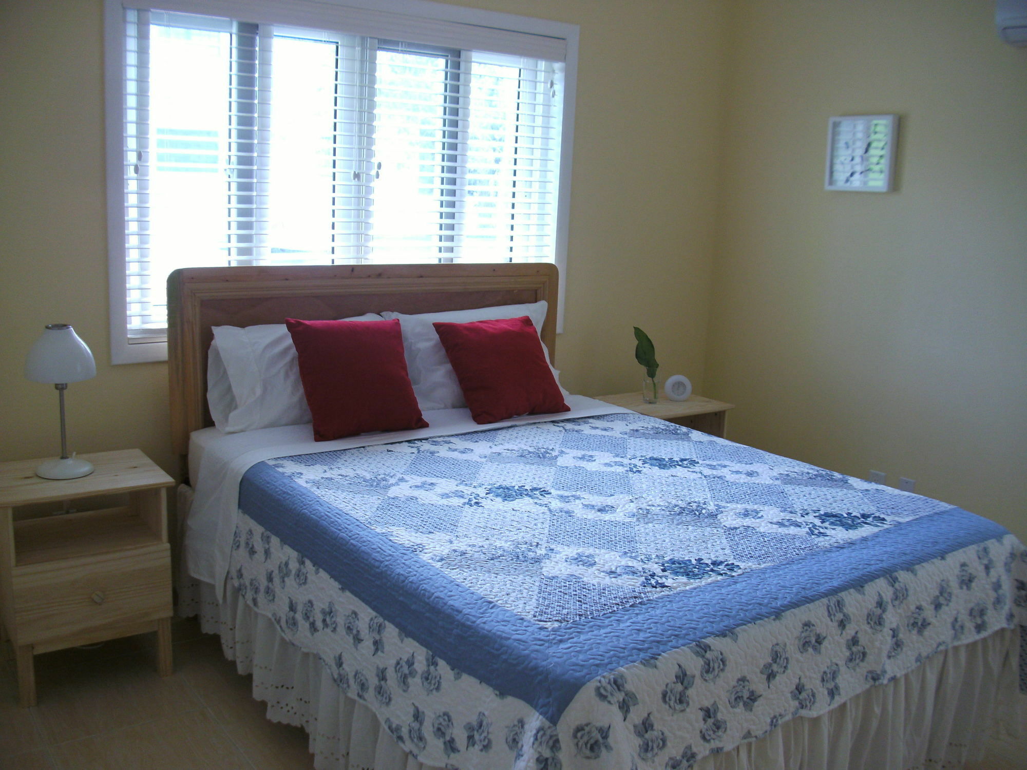 Sir Charles Guest House Palmetto Point エクステリア 写真