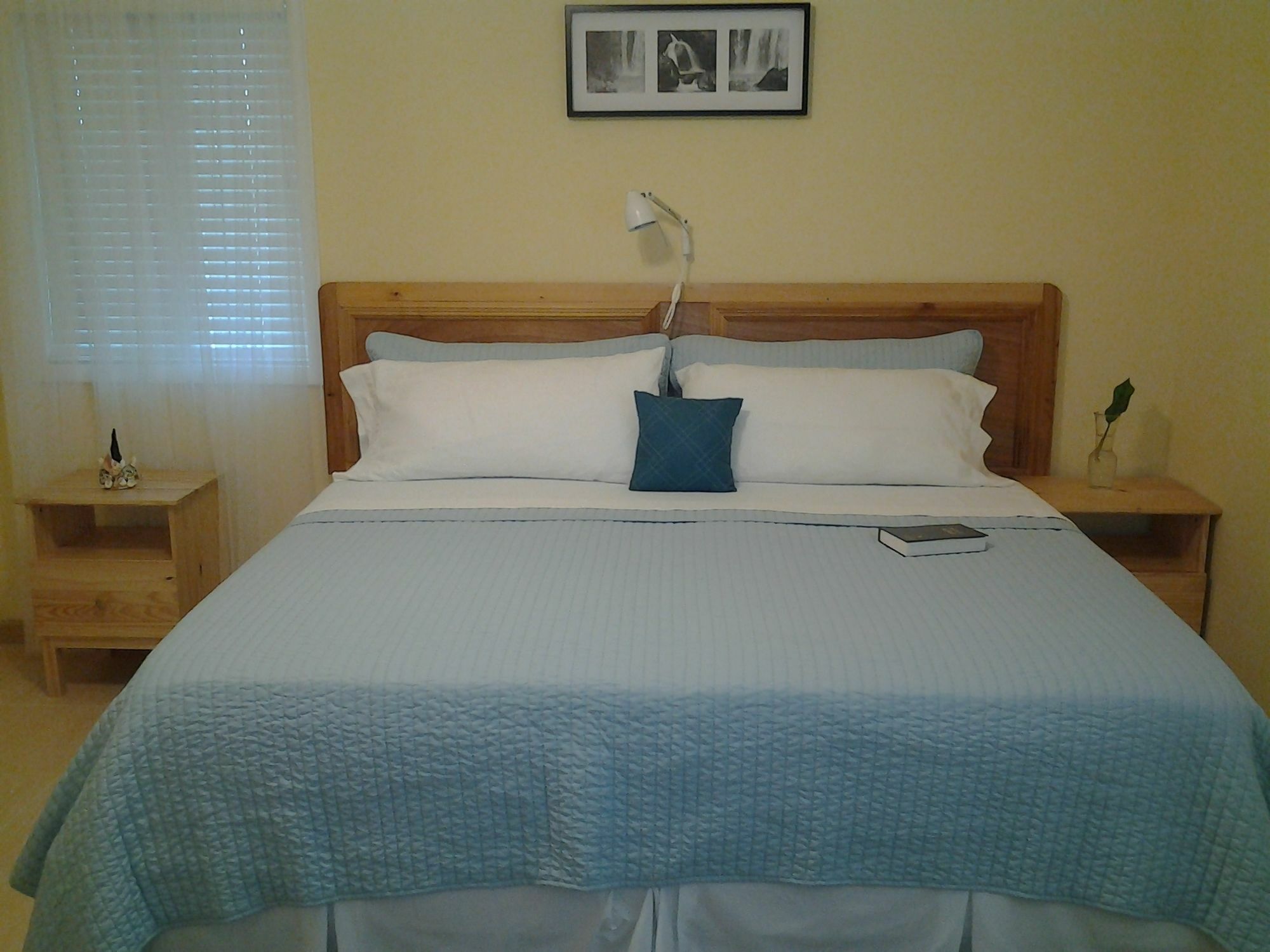 Sir Charles Guest House Palmetto Point エクステリア 写真